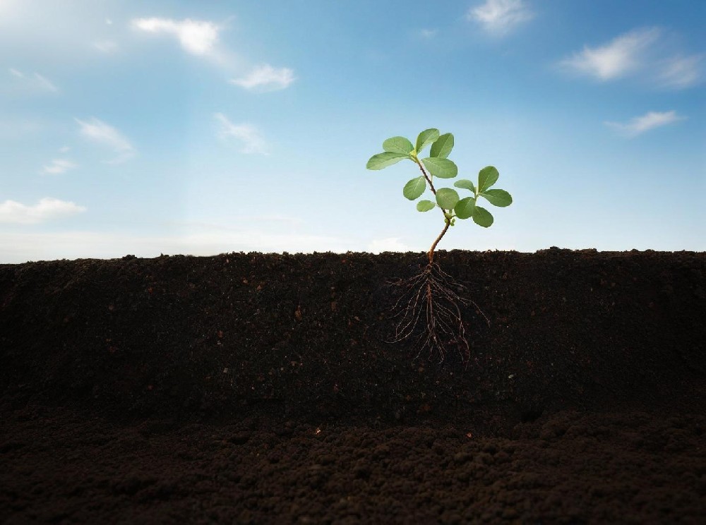 青青草视频在线免费观看环境检测实验室方案