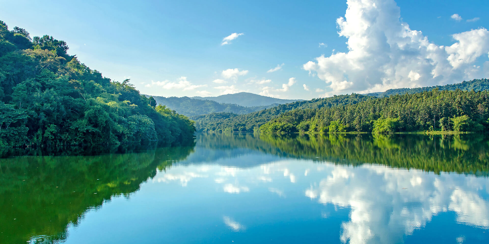 青青草视频在线免费观看其它参数检测