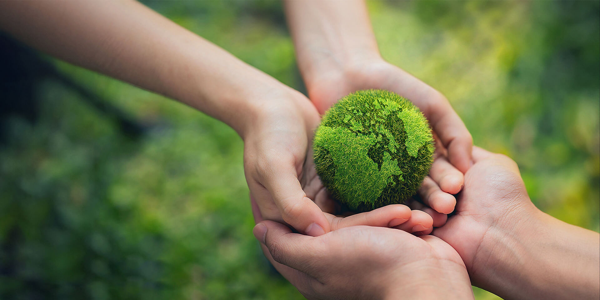 青青草视频在线免费观看检测实验室方案