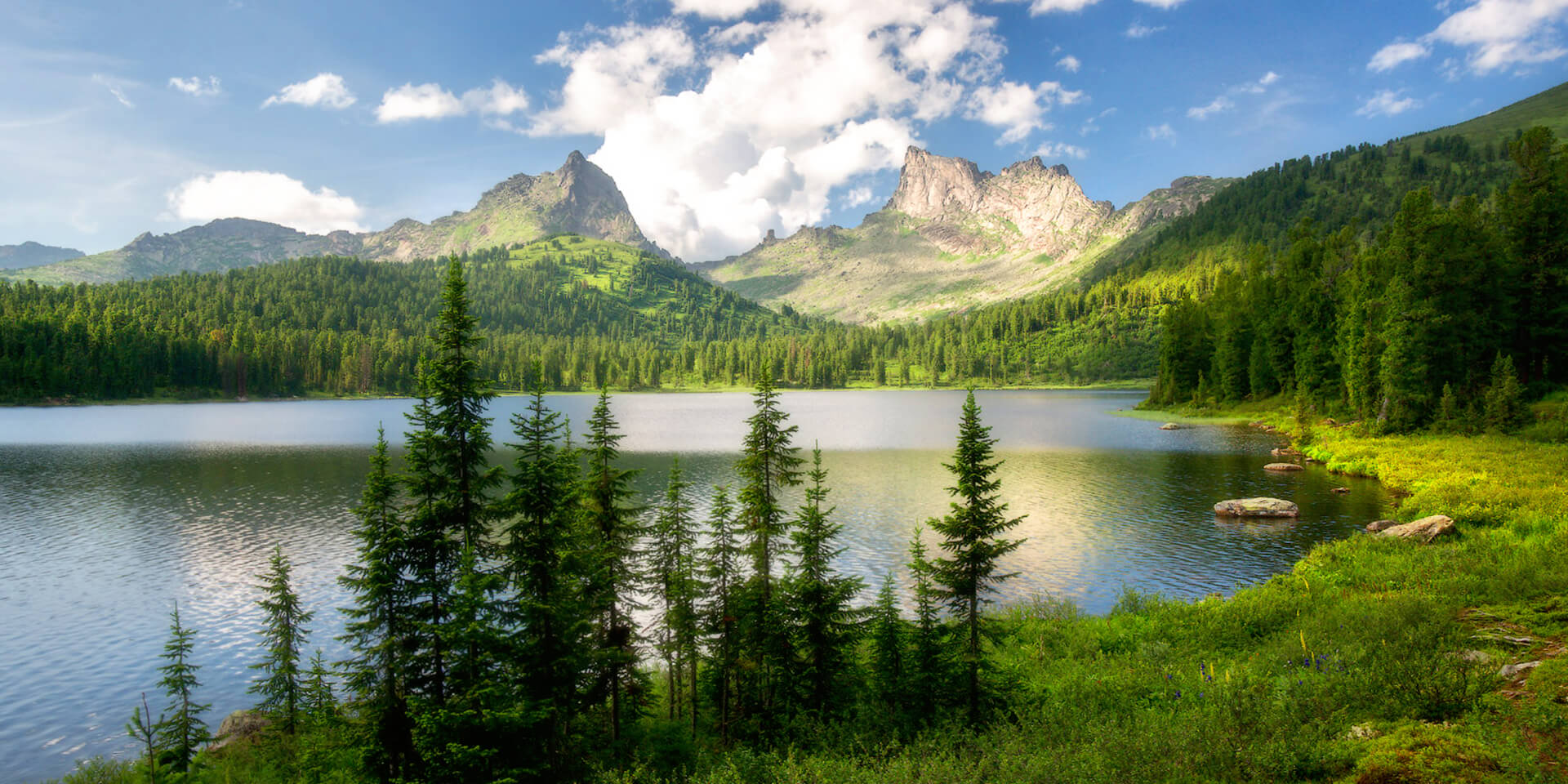 青青草污在线观看